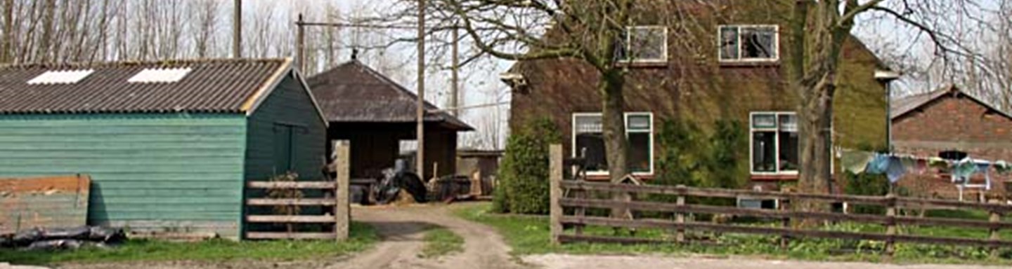 schapenboerderij Adrianushoeve aan de Woudweg in Schiedam