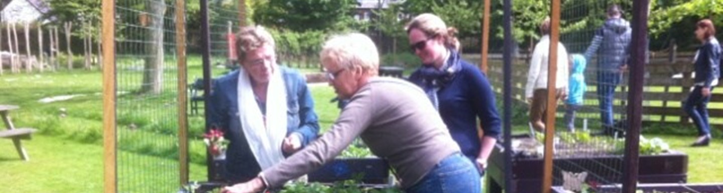vrijwilligers beplanten de moestuinbedden op tafelniveau