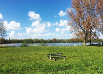 picknicktafel op gras met uitzicht op water