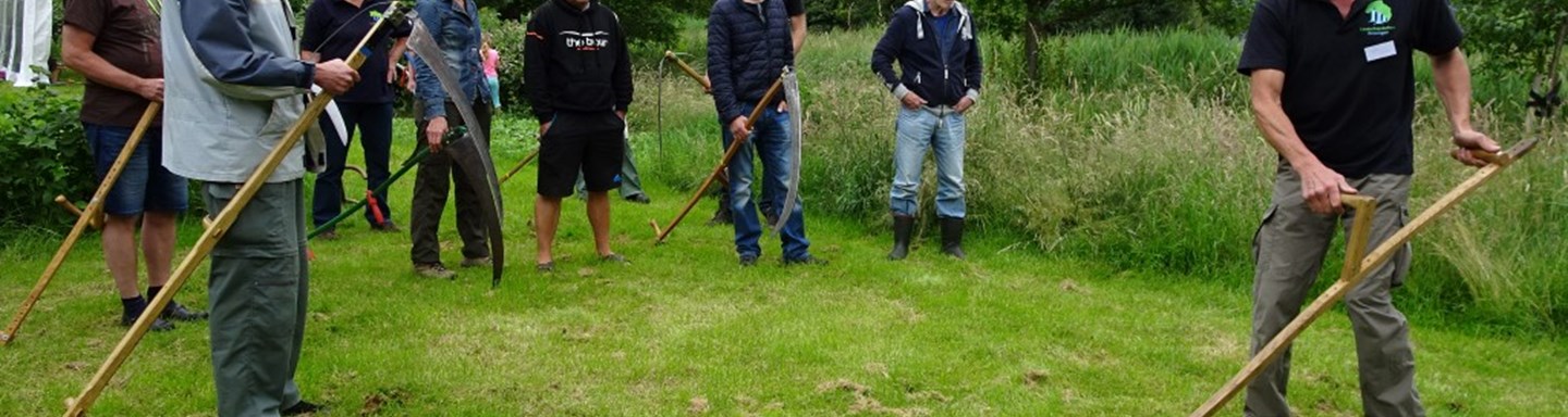vrijwilligers maaien gras met de zeis